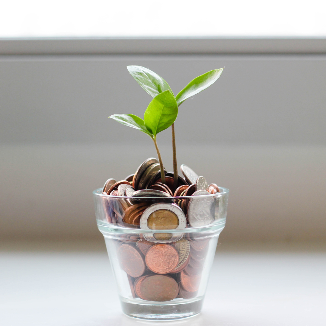 Cost-effective FileMaker licensing